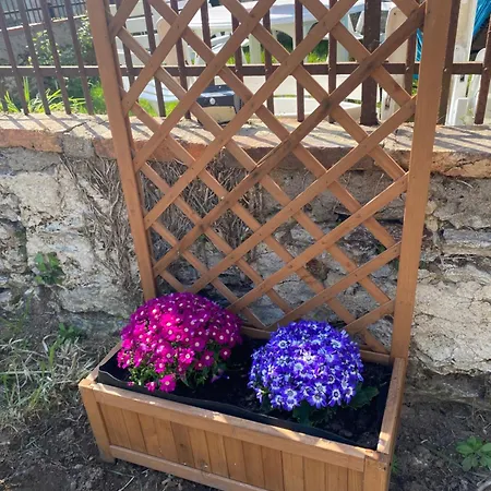 L'origami - Domaine De La Houblette Apartment Challans